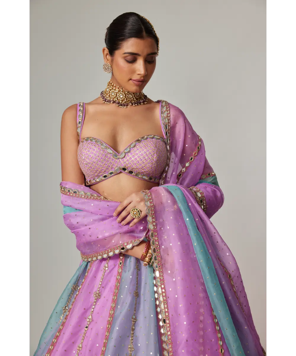 VVANI VATS - Mauve multicolor Sequin Scattered Lehenga with Sweetheart Neck Blouse
